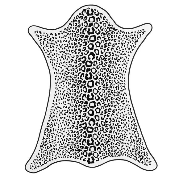 Pottery Barn Teen Bath Iso Emily And Meritt Leopard Beach Towel